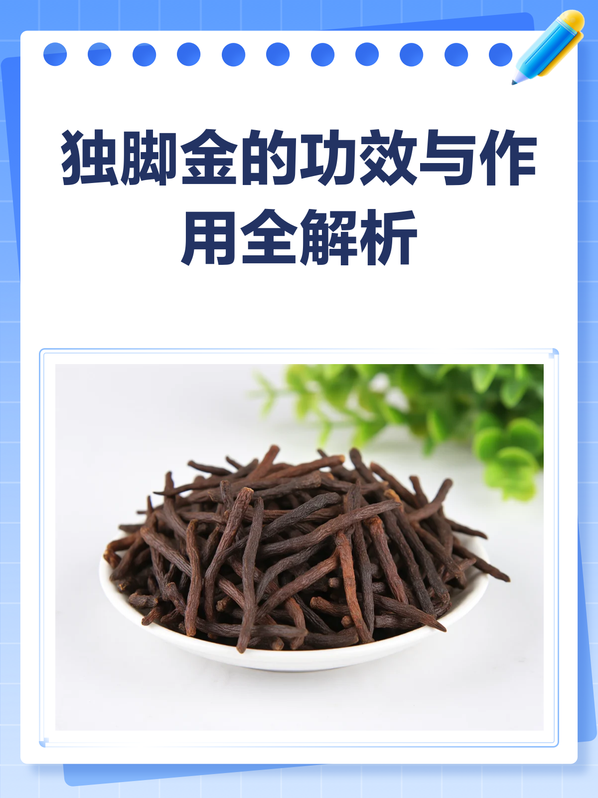 独脚金:清热消积的中药材