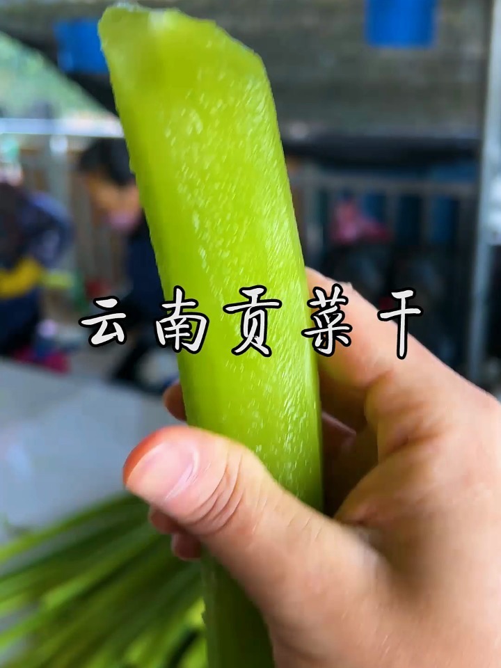 云南贡菜干