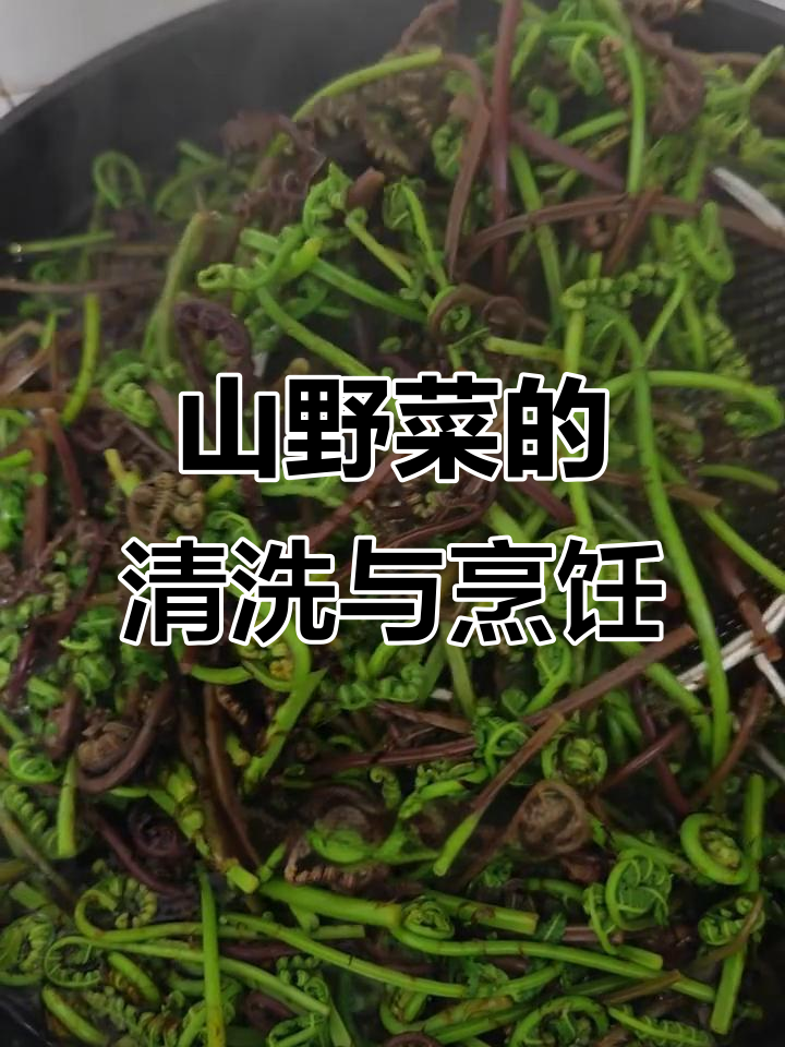 猫爪山野菜大揭秘,清洗过程强迫症必备