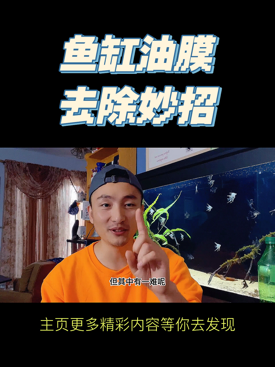 几个小方法教你去除鱼缸里的“油膜”