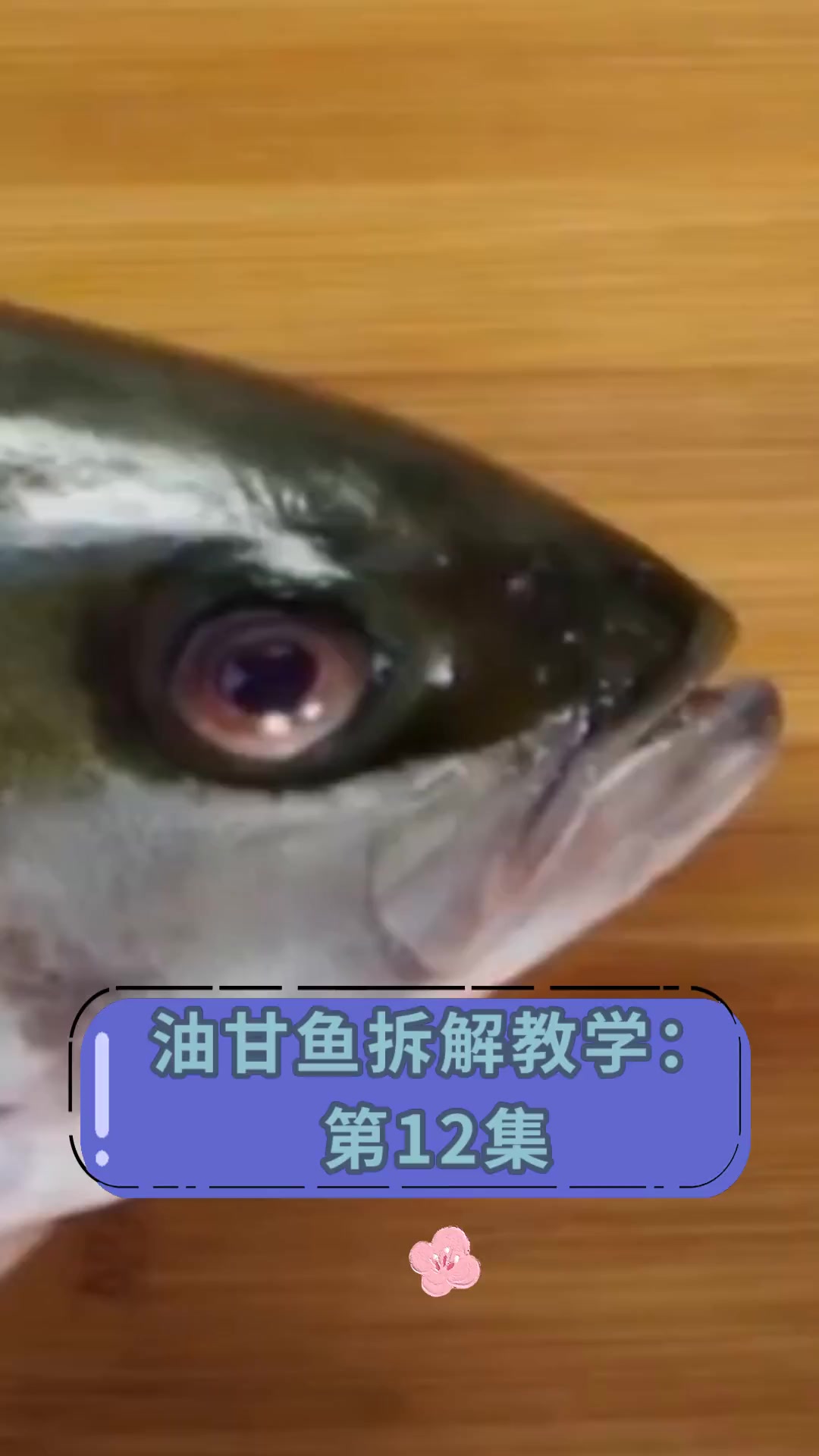 油甘鱼拆解教学:第12集