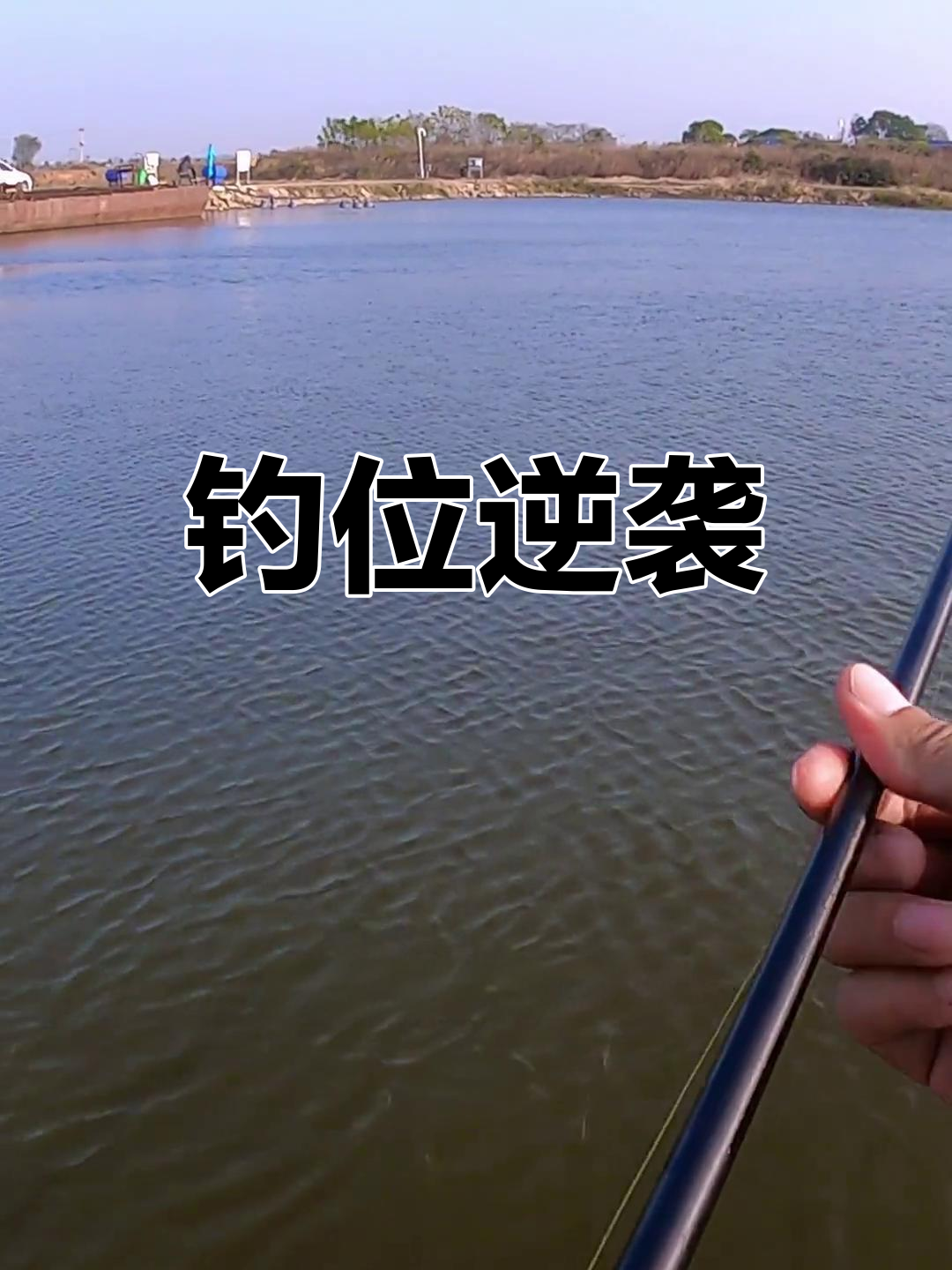 换个位置,鱼儿重生!50公里跋涉,命运大逆转!