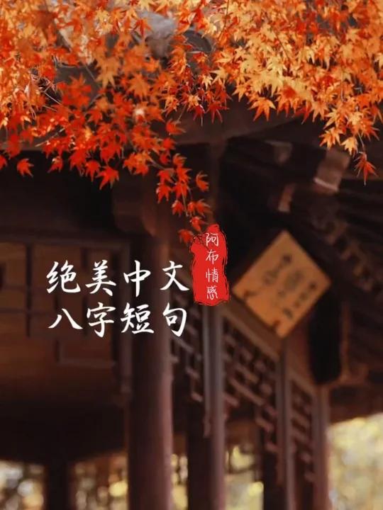 极致唯美的8字短句,干净文艺,格调很高!