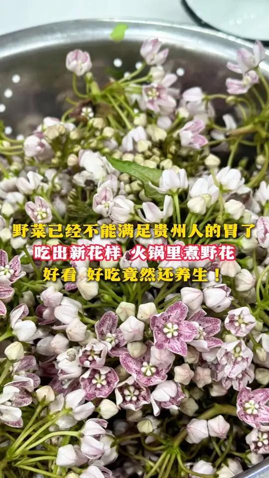 野菜已经不能满足贵州人的胃了 吃出新花样 火锅里煮野花好看 好吃竟然还养生!