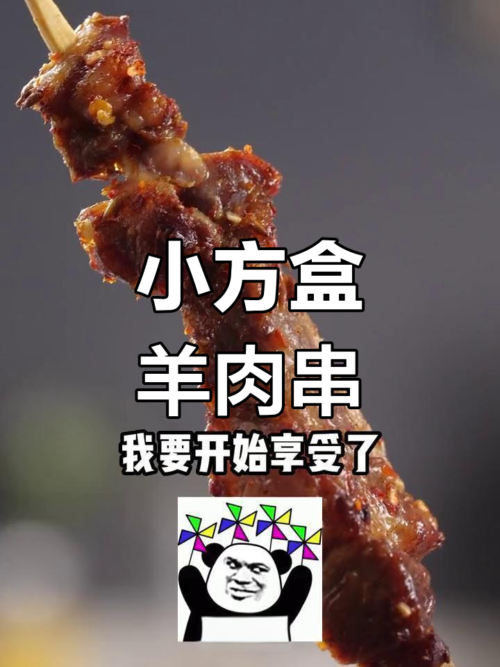 朋友尝过这羊肉串,立马建议我开店!小方盒烤制超赞!