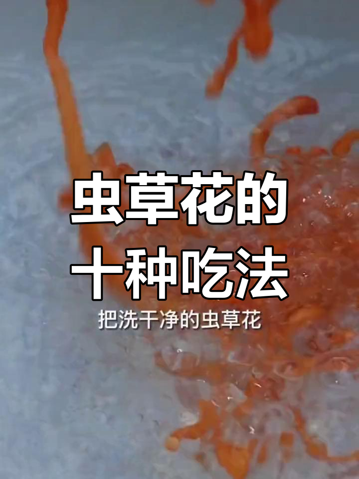 虫草花十种美味做法,试试你喜欢哪一种