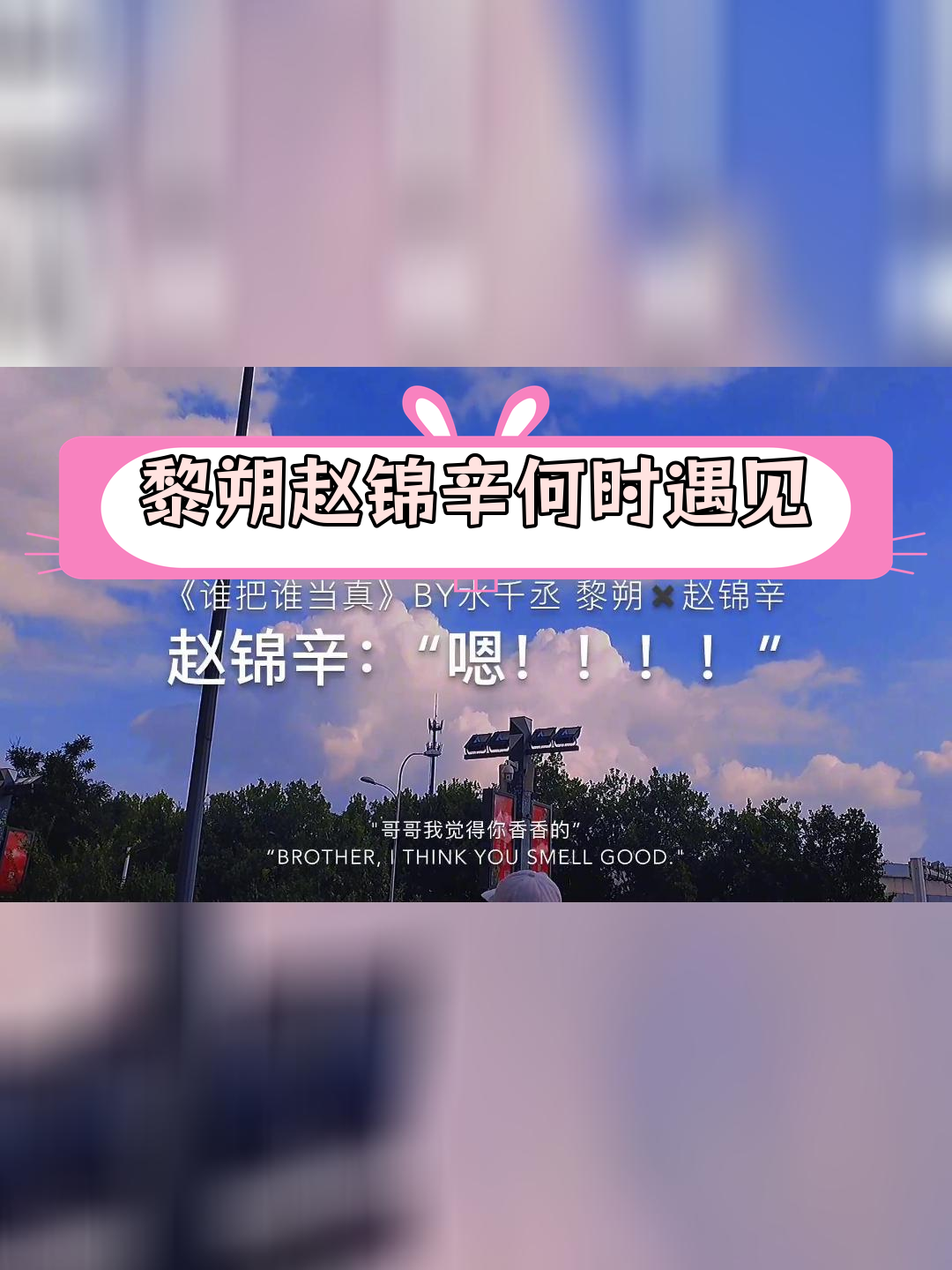 赵锦辛与黎朔的相遇时刻