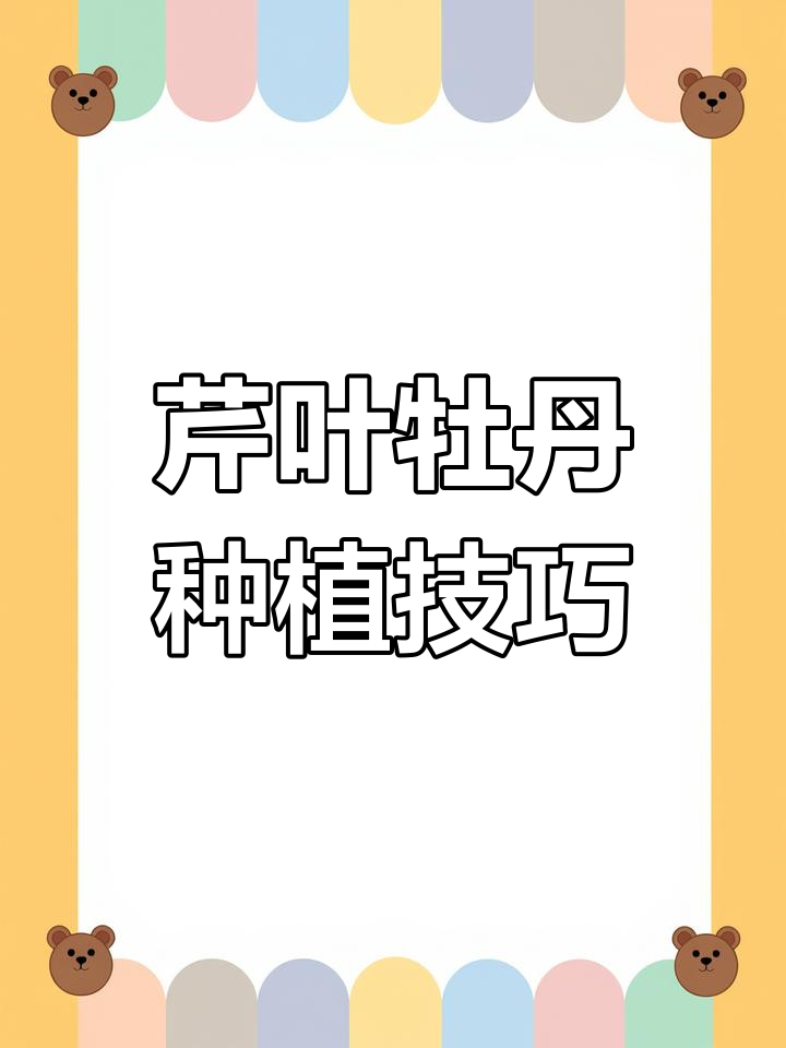 芹叶牡丹种球养护全攻略:从发芽到开花,轻松掌握