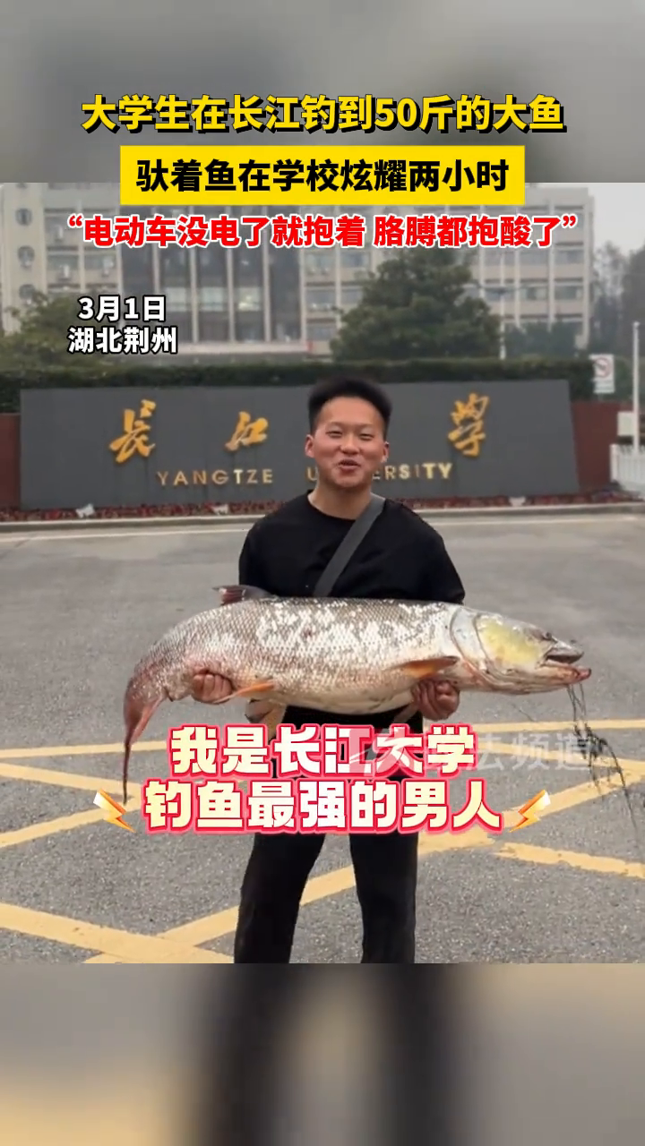 大学生在长江钓到50斤的大鱼,驮着鱼在学校炫耀两小时