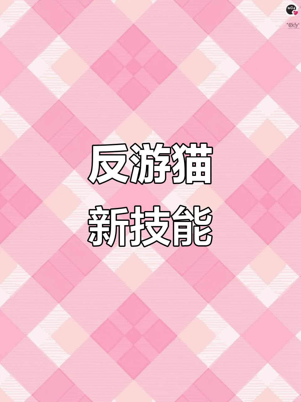 12月22日反游猫学会吸管,抢食无敌!