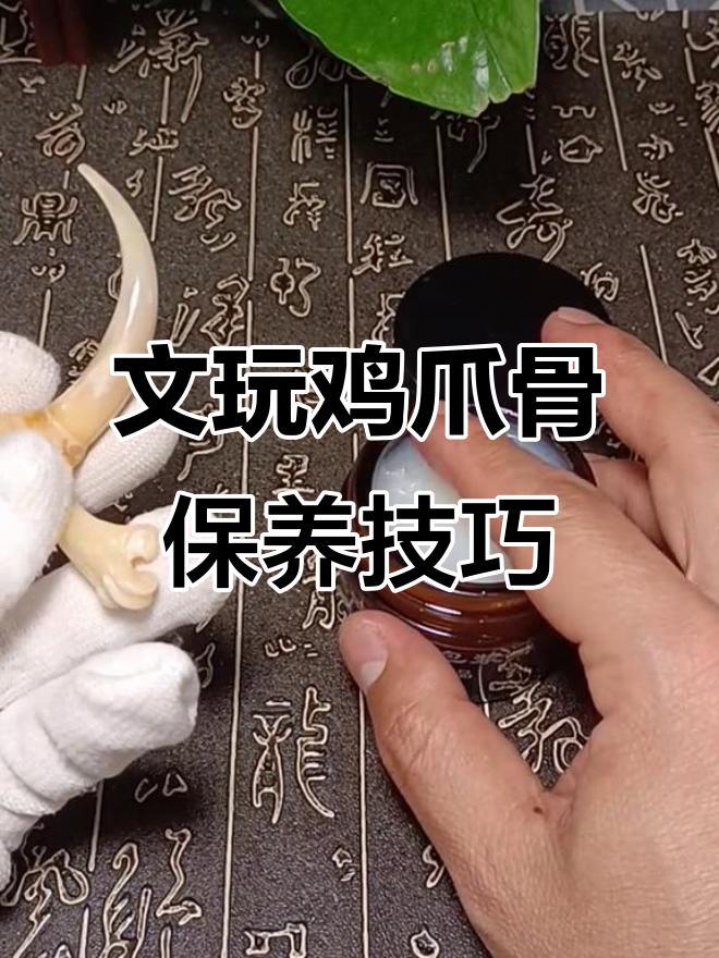如何保养文玩鸡爪骨,避免开裂?这款包浆膏让骨头更温润