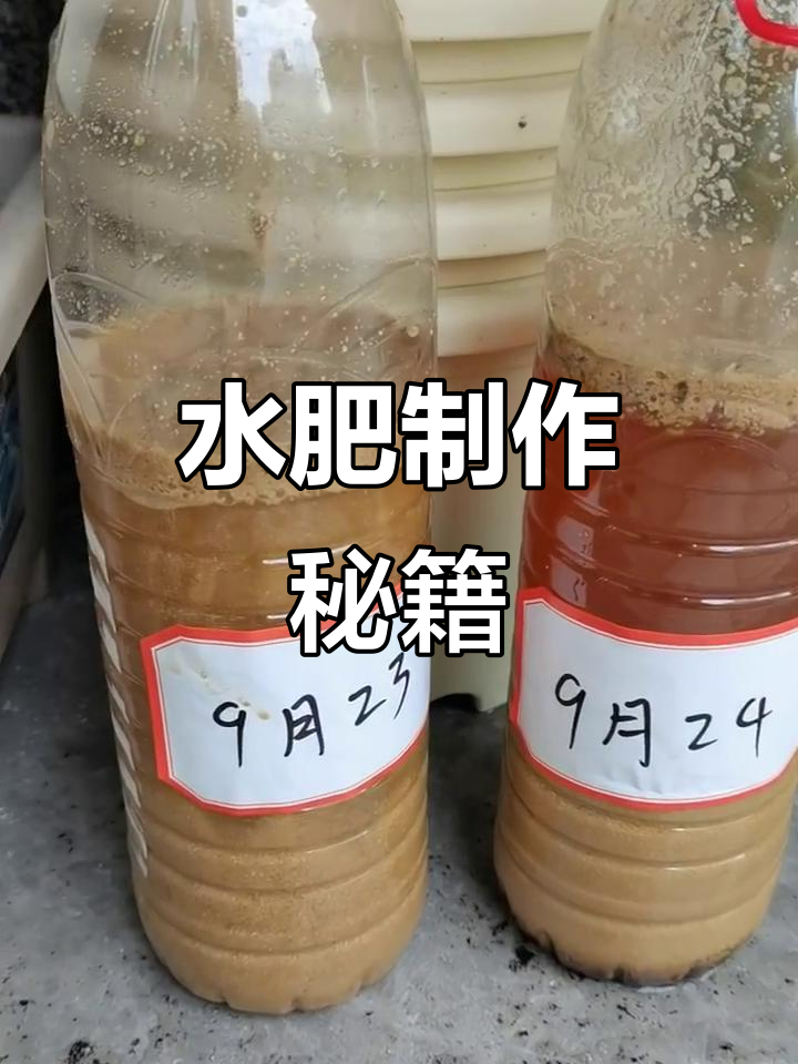 豆渣变废为宝,红糖发酵成水肥,轻松制作!