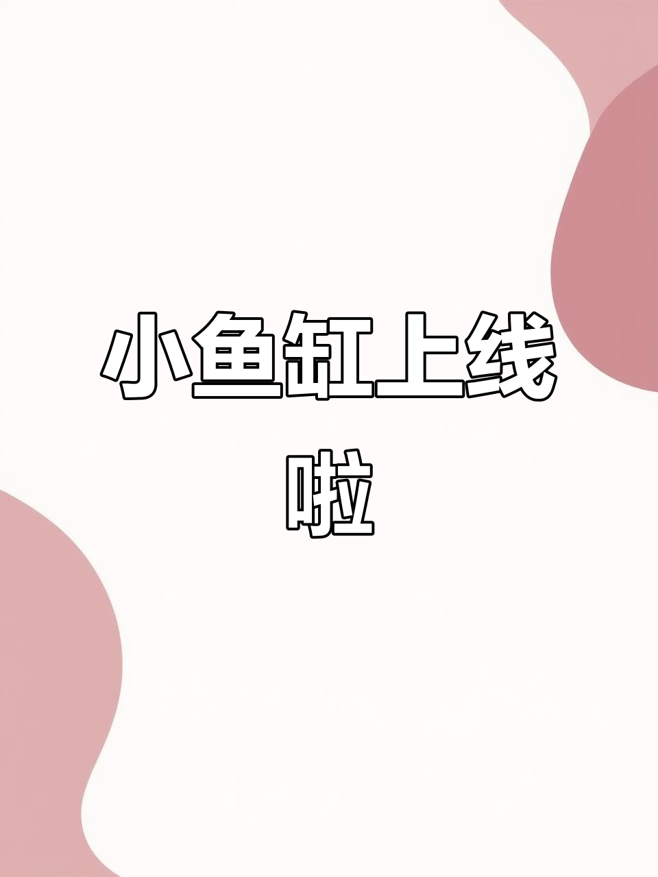 40/50小鱼缸大揭秘，多种款式任你选！