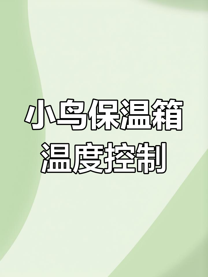 牡丹鹦鹉保温箱使用指南,温度调节很重要