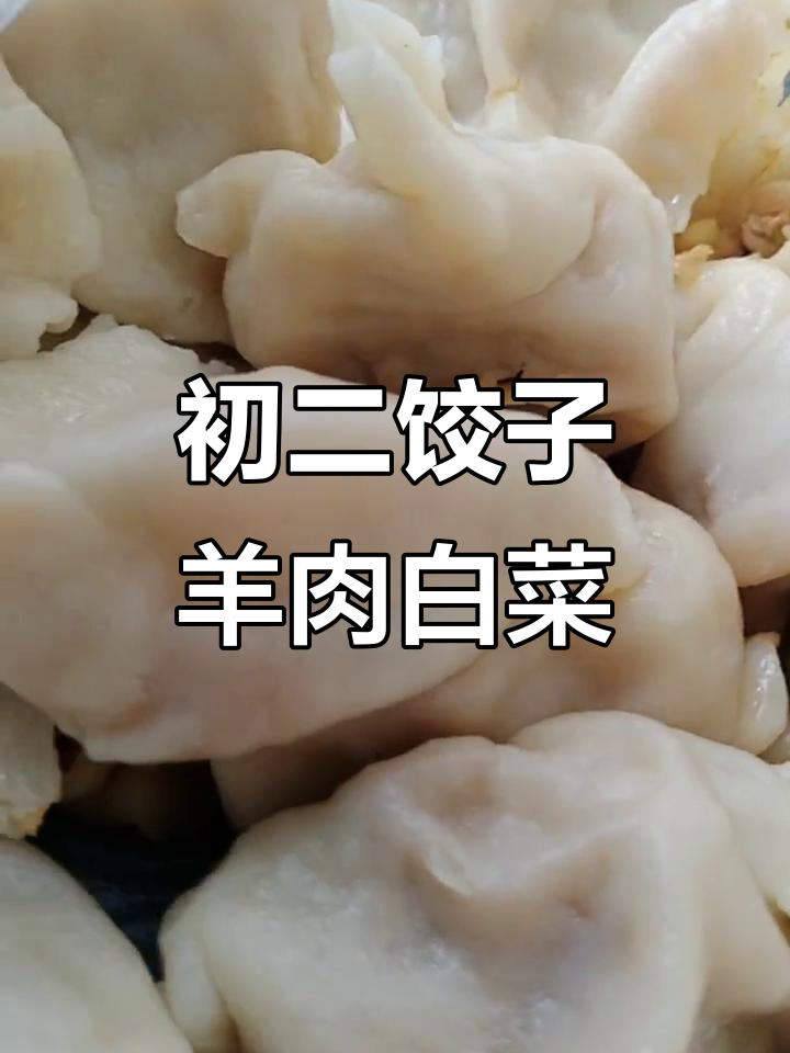 初二饺子大作战,羊肉白菜馅的独特风味