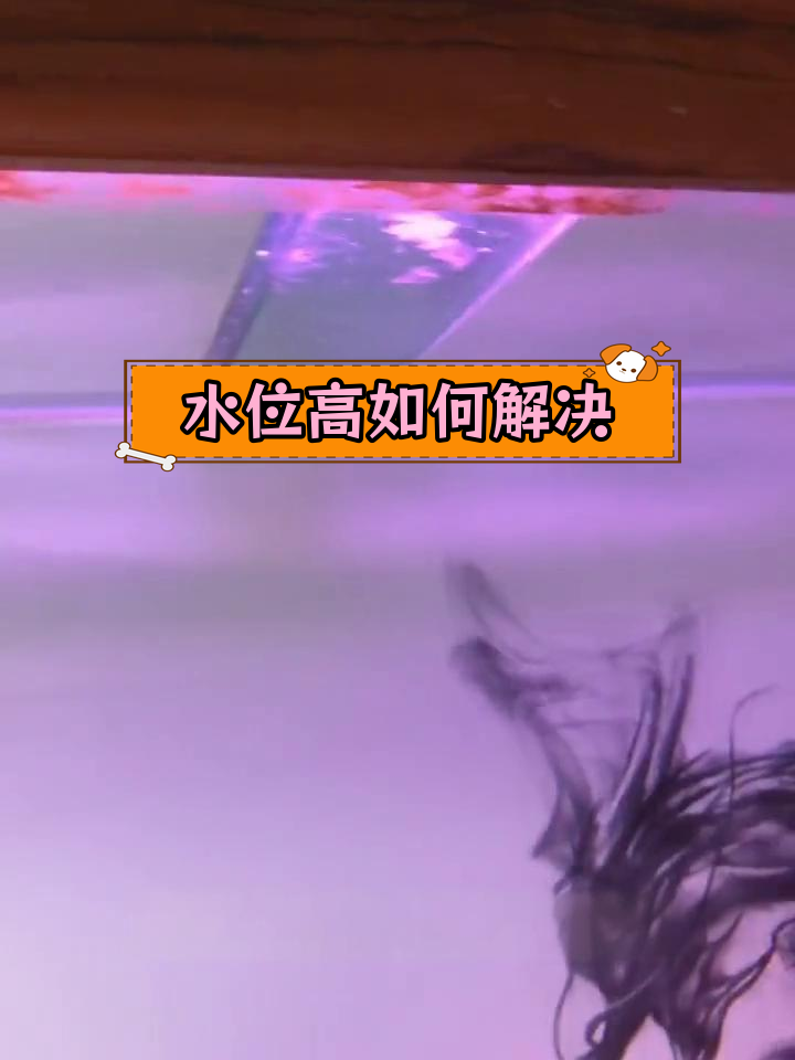 鱼缸水位升高怎么办?