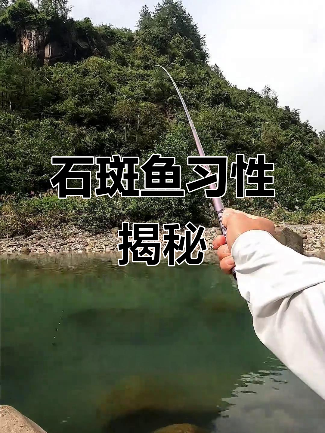 溪流钓石斑鱼的秘密:从浅滩到深水的迁徙规律