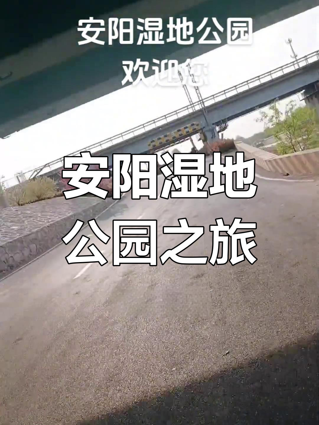 探秘安阳湿地公园:从铁东路到汤河水库,春日美景尽收眼底