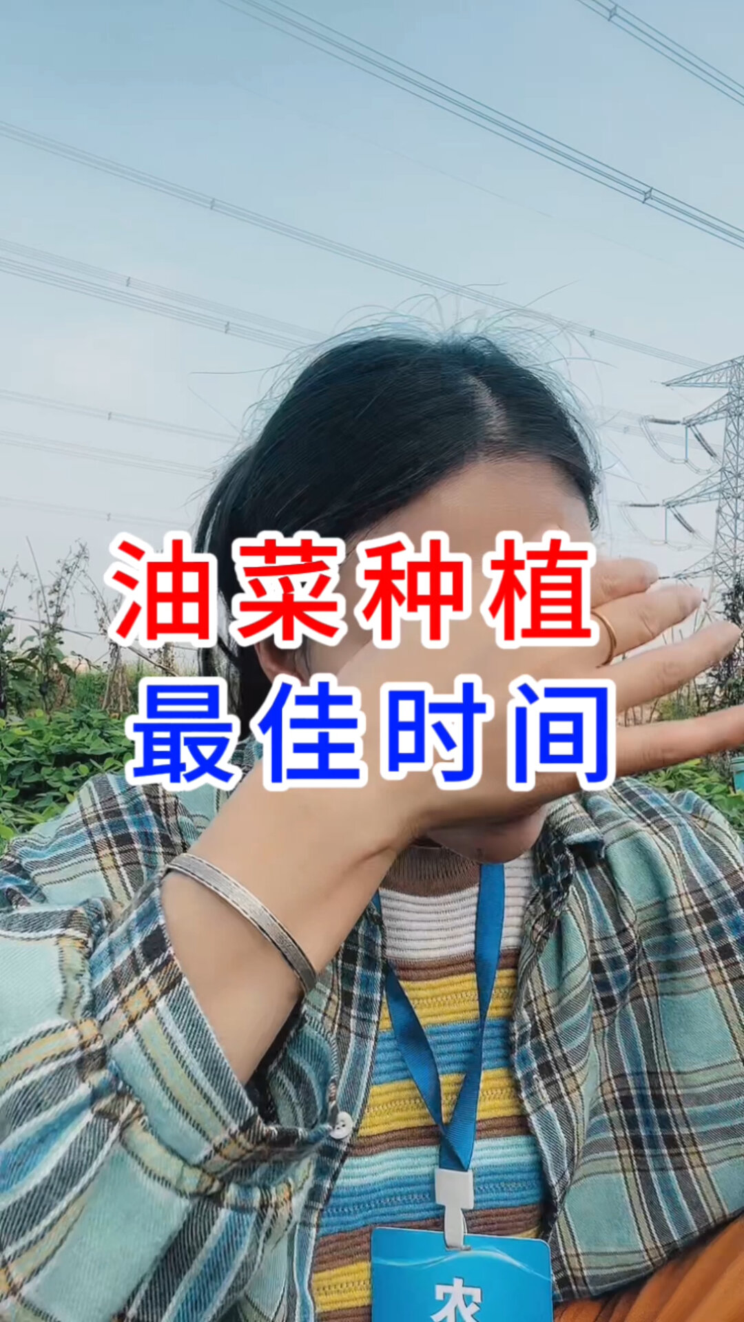 油菜种植最佳时间