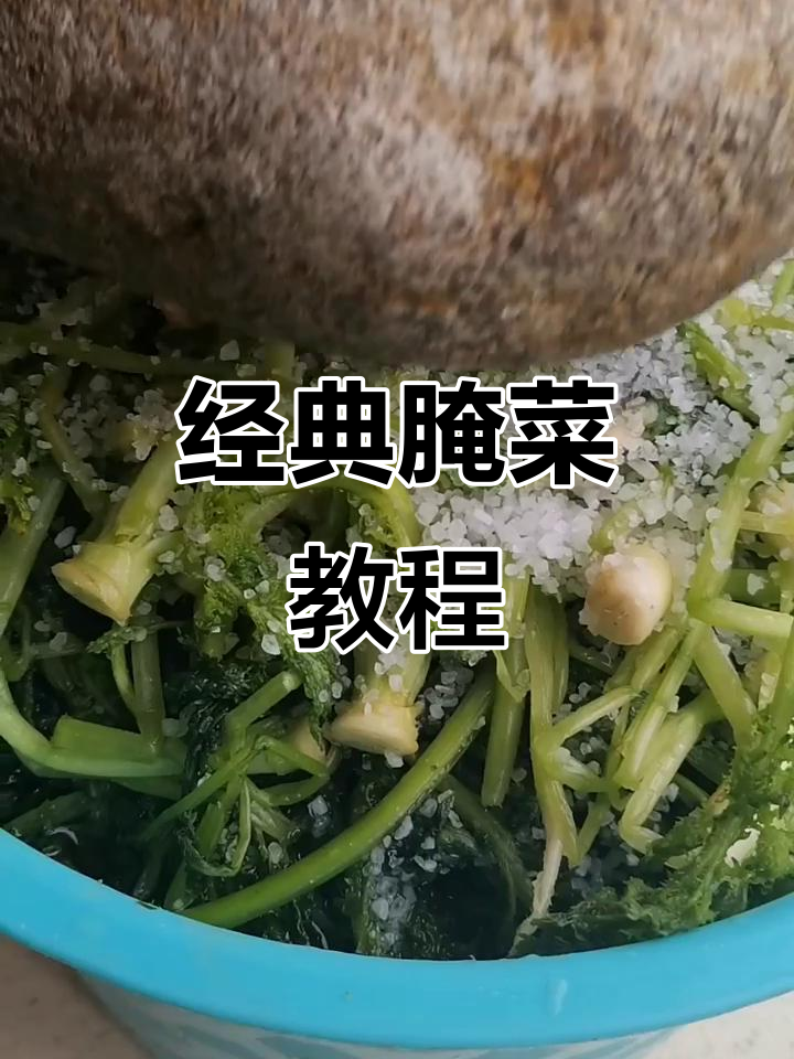 东北传统腌菜做法,芥菜樱炖豆腐土豆,简单又美味