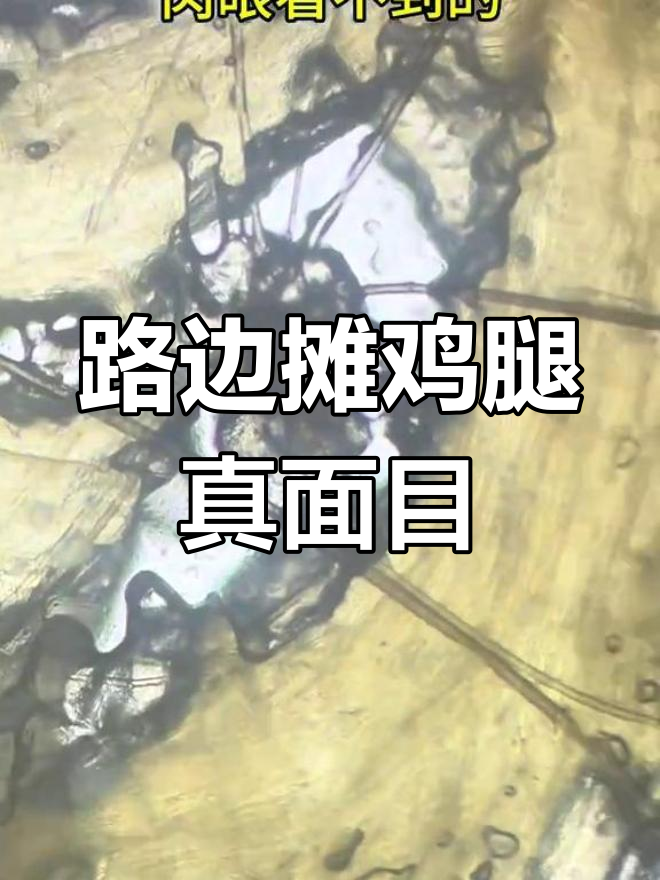 烤鸭腿放大1000倍,路边摊鸡腿真相曝光
