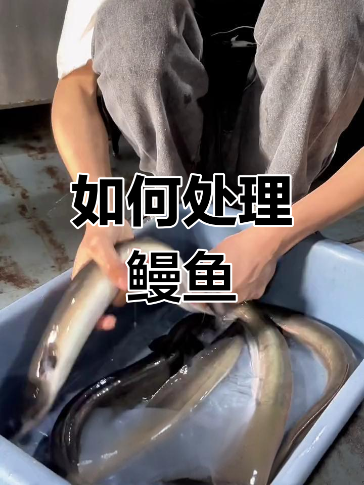 鳗鱼杀法全攻略,最后一步最关键