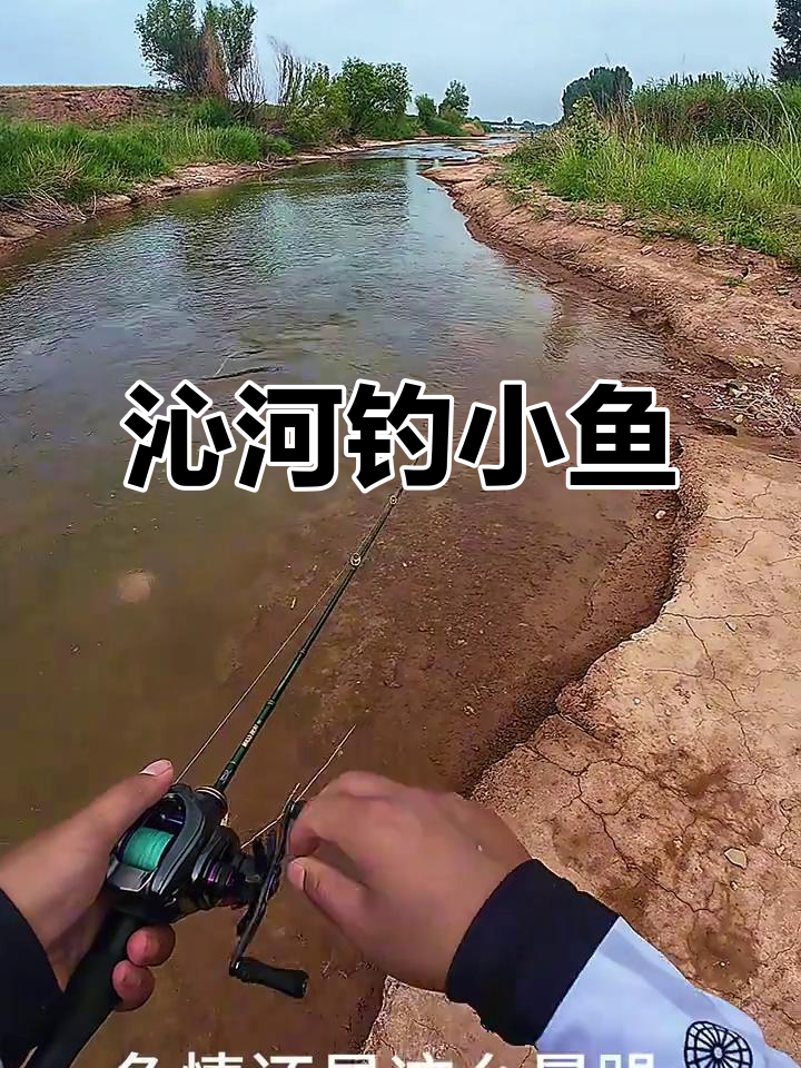 沁河鱼情暴躁,钓鱼成抖音新运动风潮