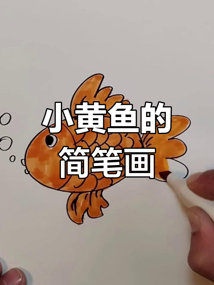 零基础学画小黄鱼
