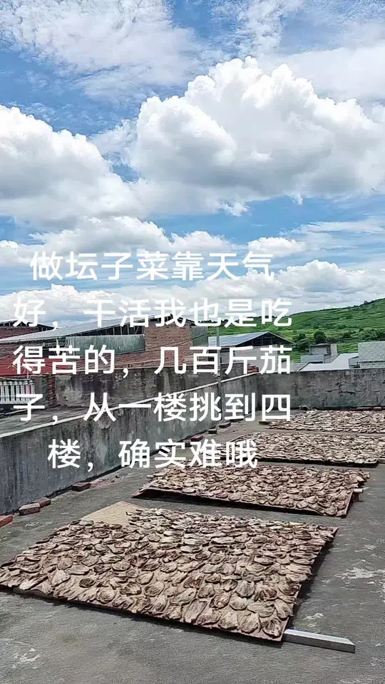 纯天然绿色食品晒茄子扎,美味健康不容错过