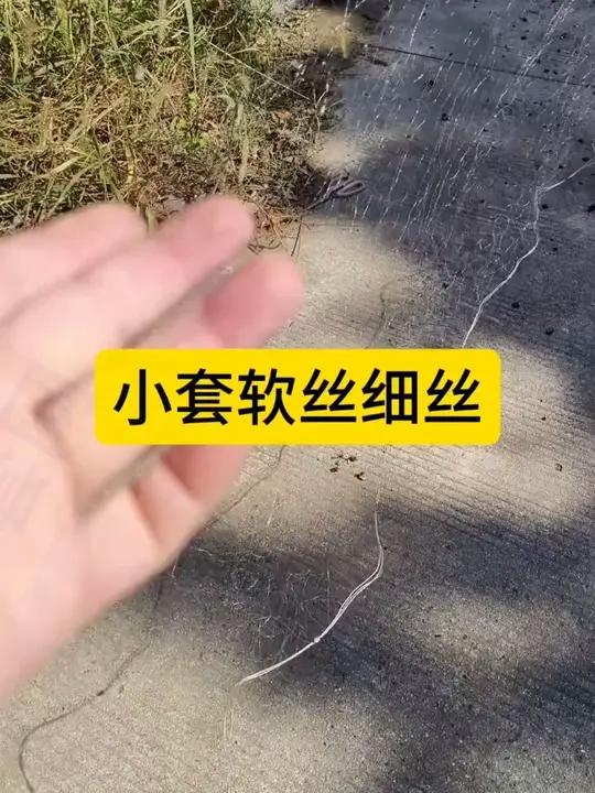 巢湖金辉煌渔网超柔细丝网渔网粘网拎纲提纲鲫鱼网白条三层捕鱼网