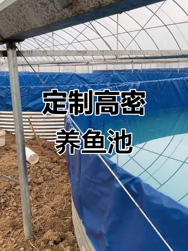 高密度养殖鱼池深度与蓄水设计,定制灵活满足需求