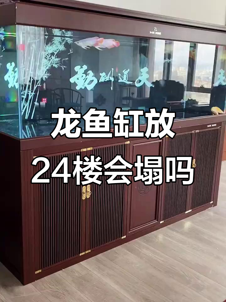 大型龙鱼缸放在24楼，真能压塌楼房吗？