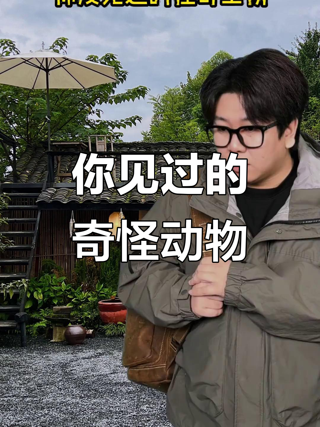 香蕉阔鱼、僵尸蜗牛，这些怪奇生物你见过吗？