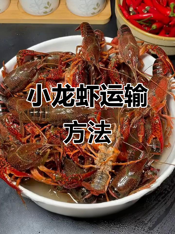 小龙虾运输技巧:如何确保高成活率