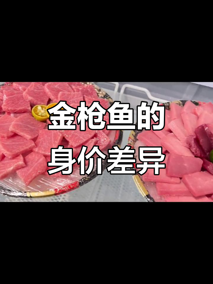 蓝鳍大腹与普通金枪鱼,价格差距竟这么大!