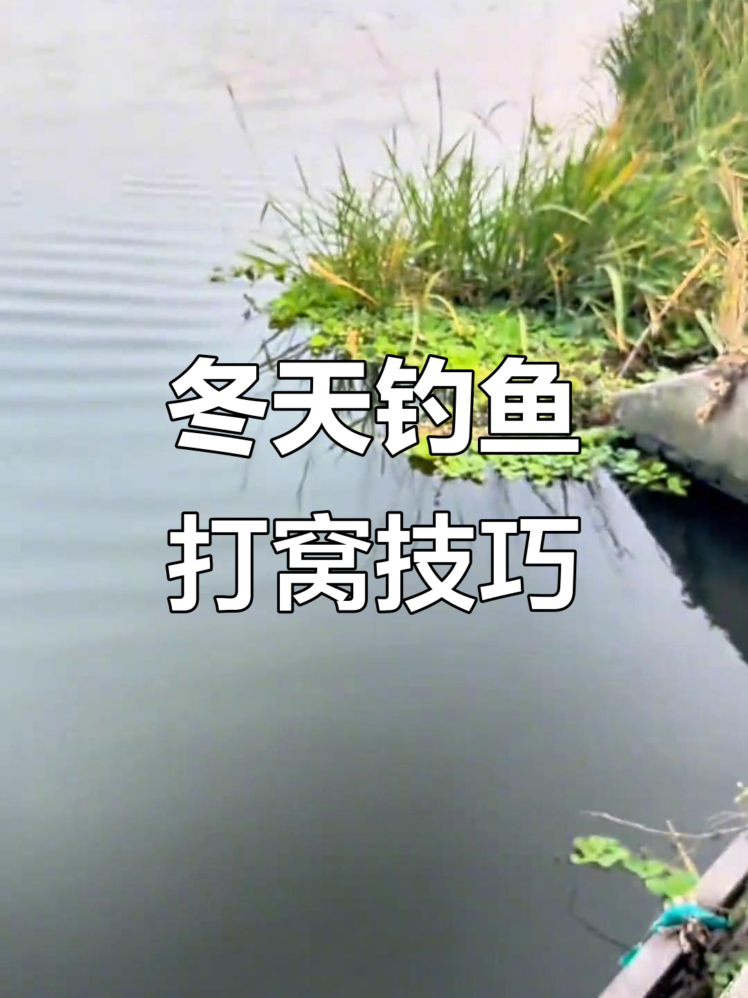 冬季钓鲫鱼,提前打窝能缩短进窝时间
