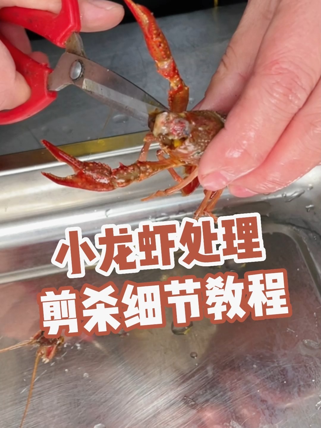 小龙虾如何正确处理剪杀去头,保留完整虾黄