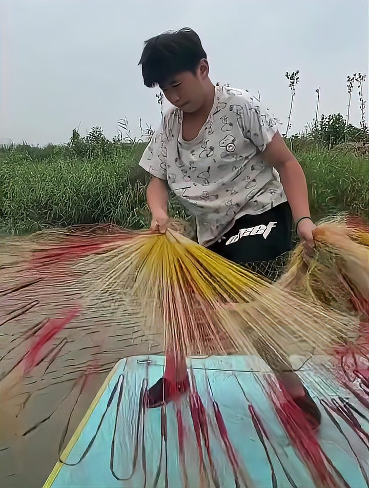 怎么撒鱼网视频教程