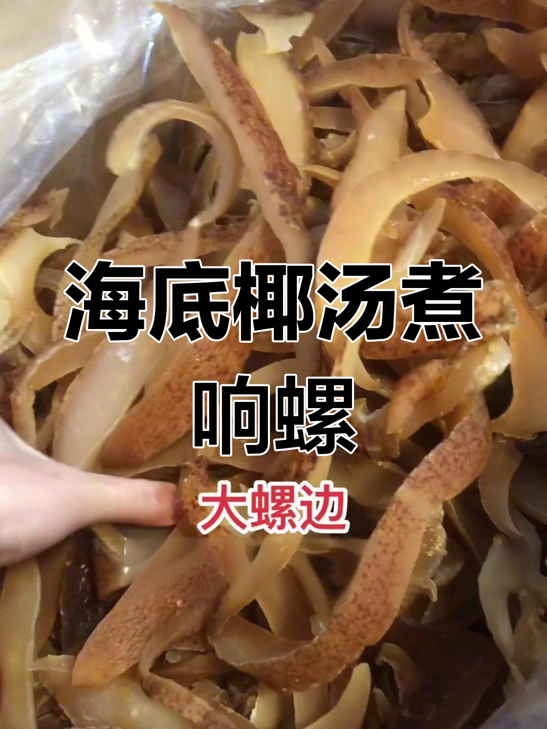 响螺肉冷水泡4小时,搭配海底椰鸡汤