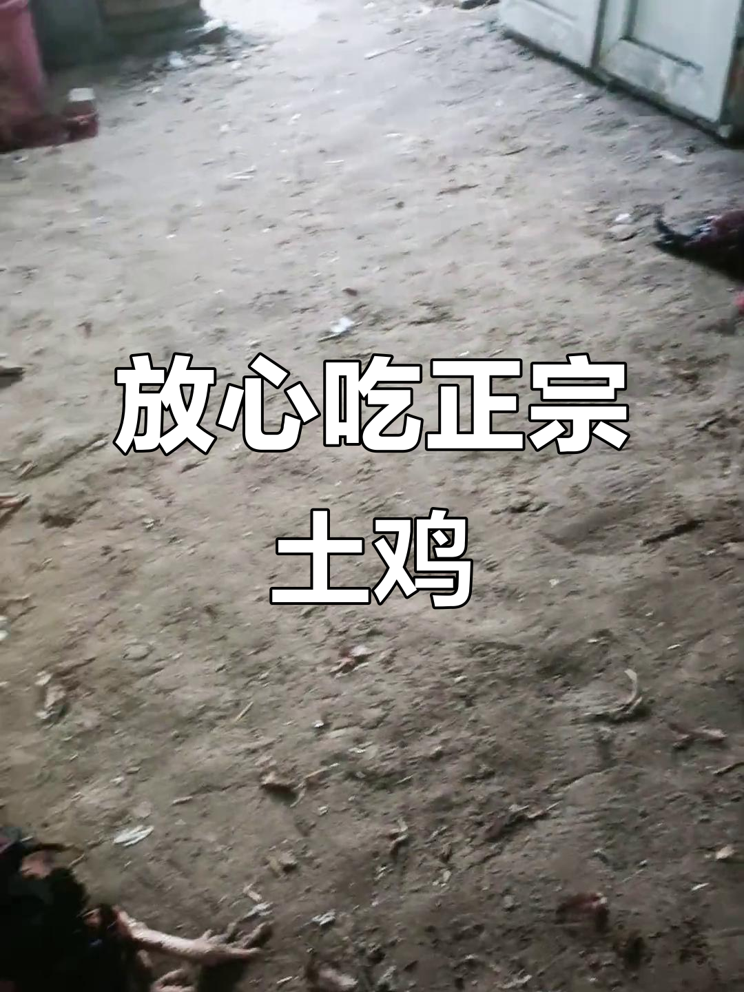 正宗土鸡现场宰杀,新鲜食材保证健康美味