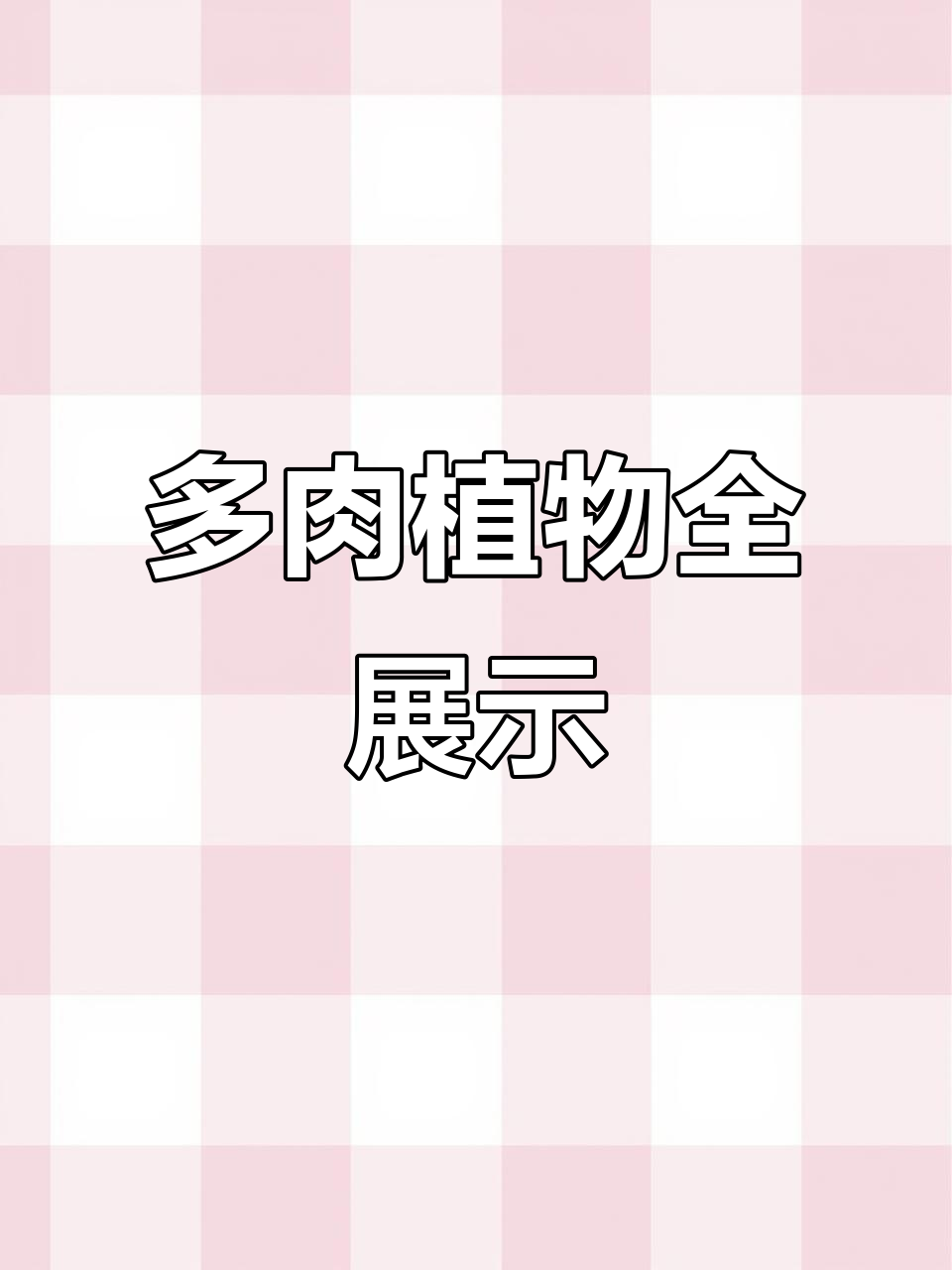 各种多肉植物大集合,超美品种等你来选!