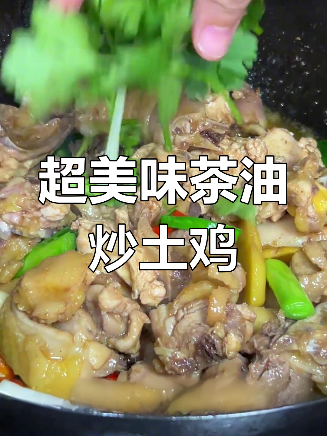 茶油炒土鸡,香气扑鼻让人停不下来!