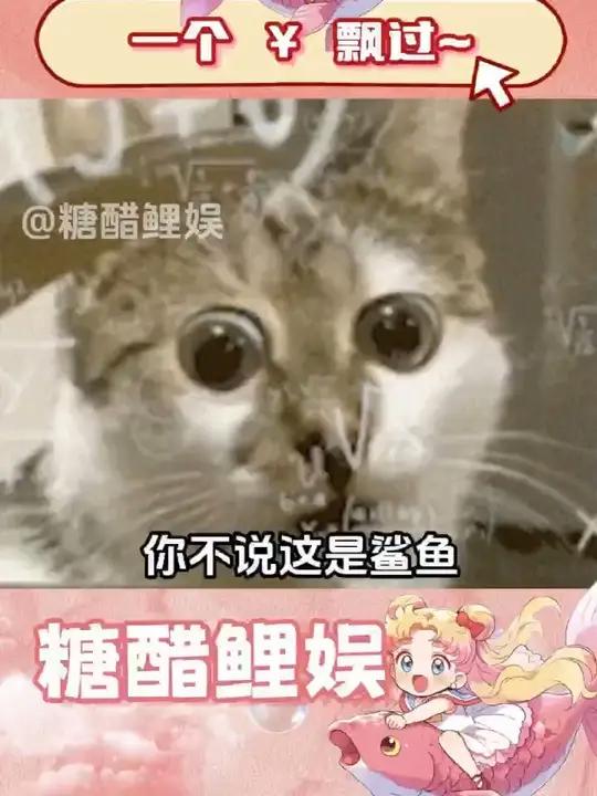 这是谁家老八角出来了 夺命六头鲨 电影 鲨鱼 抽象 娱乐评论大赏