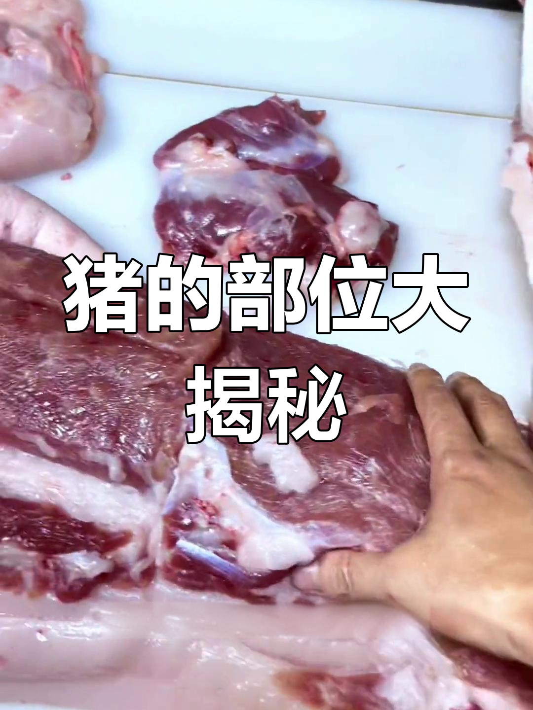 猪身上所有部位解析,挑选猪肉全攻略