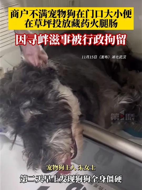 商户不满宠物狗在店门口大小便,在草坪上投放藏毒火腿肠,6条宠物狗中招!目前,商户因寻衅滋事