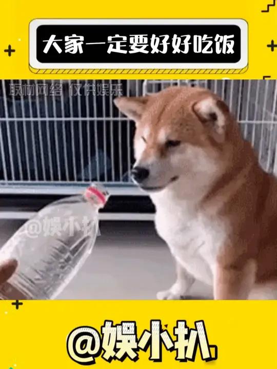 一个饮食不规律的小女孩轻轻的碎了 饮食 万万想不到 娱乐评论大赏 吃饭 减肥