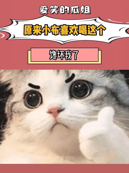 这么好喝吗,搞得我都想买个同款尝尝了 一个老外教我喝中国奶茶 香飘飘原叶现泡轻乳茶 香飘飘