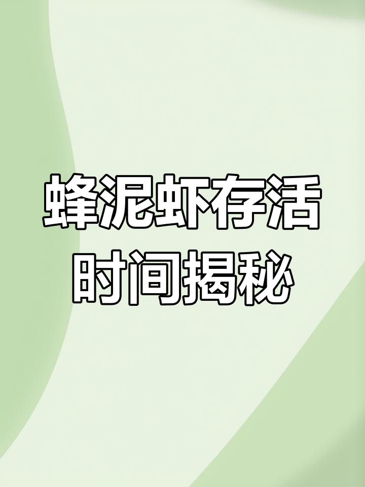 蜂泥虾能活多久?了解冷冻保存技巧