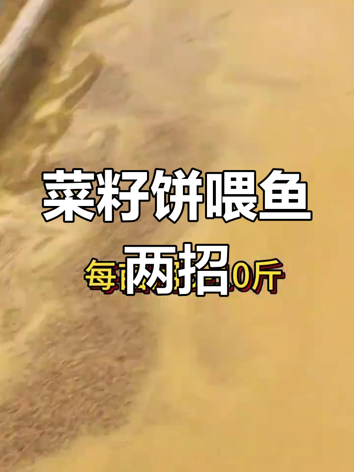 菜籽饼发酵技巧大揭秘,水产养殖必备两大用法