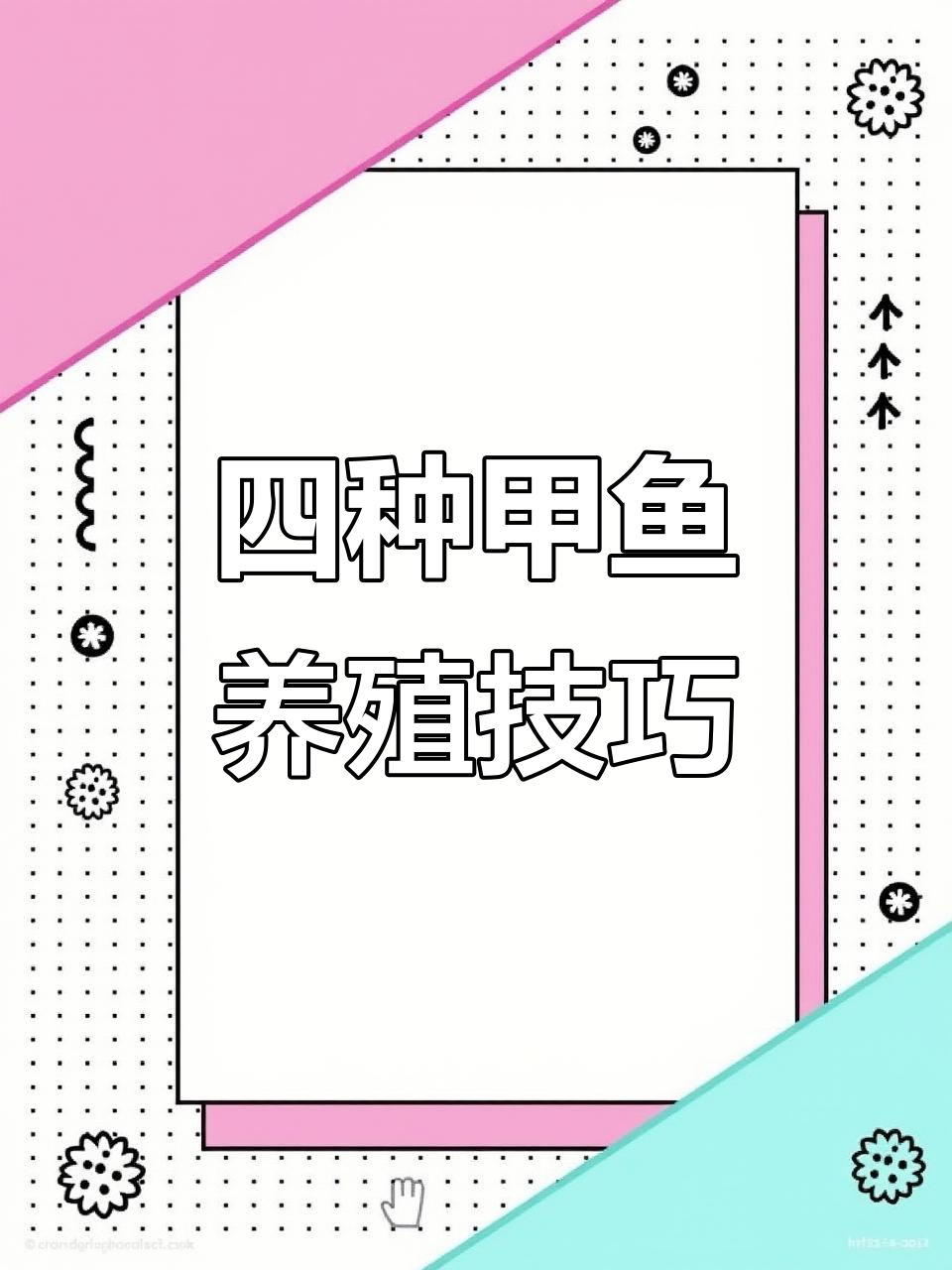 甲鱼养殖四大方案,冬眠后如何应对常见疾病